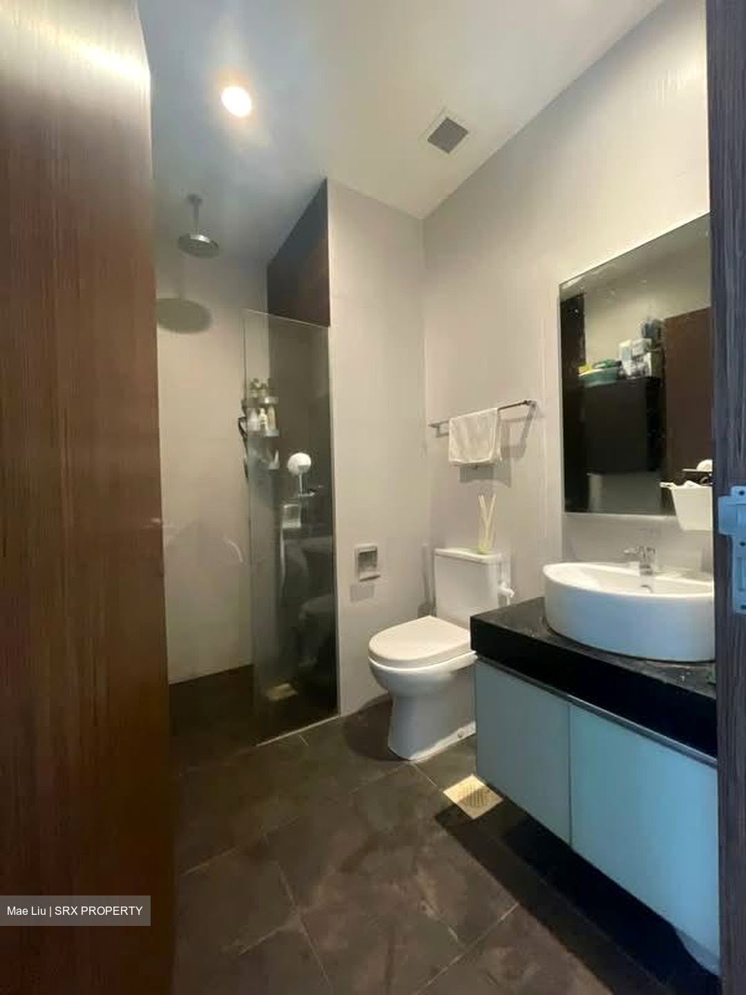 Parc Rosewood (D25), Condominium #572192931